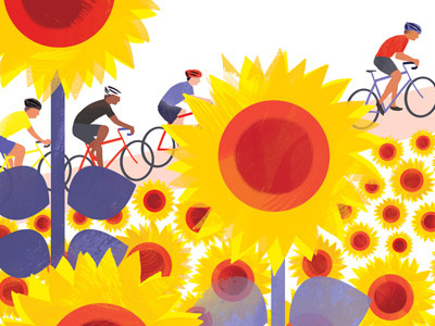 WIP . Le Tour . the sunflowers bicycle cycling field illustration race sports sunflowers tour de france