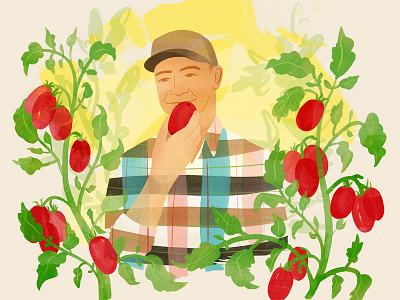 T Brand Studio editorial farm farmer food illustration tomato tomatoes