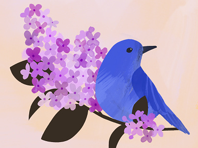 Idaho State Bird & Flower bluebird boise botany idaho illustration lilac painterly state bird syringa