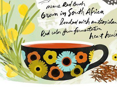 Rooibos Tea - detail botanical handlettering illustration makeartthatsells rooibos tea cup