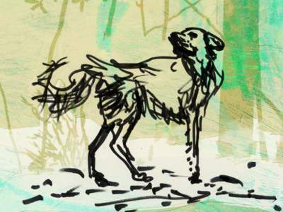 November dog illustration november philadelphia