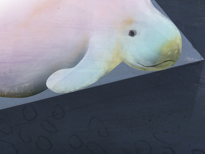 Manatee animal aquatic children illustration manatee