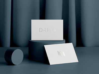 DARIO Panelized Branding + Website Design