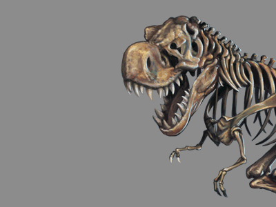 Dinobot Animation Fun for ConvergeSE 2012 website