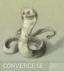 More Converge SE Conference Art illustration