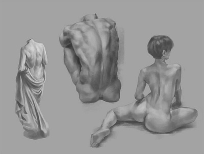 human anatomy study human body illustration poses