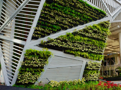 green facade green facade green facade benfits green facade design green wall innovative facades