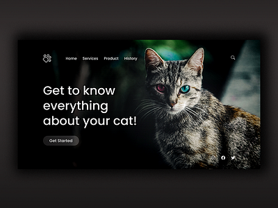 Cat Shop app branding cat catshop illustration landingpage logo mobile app mockup shoe design ui ui ux uidesign ux website