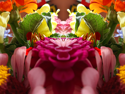 Floral photography digital floral flower flowers gimp photography photoshop psychedelic psychedelic art queer trippy