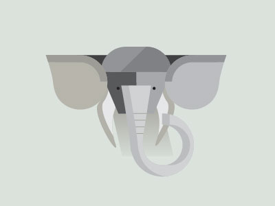 Elephant animal elephant grey zoo