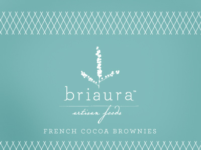 Briaura Artisan Foods blue brownies food logo natural organic script