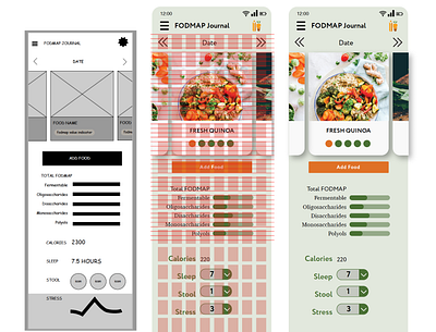 A Diet Tracking Journal app design ux