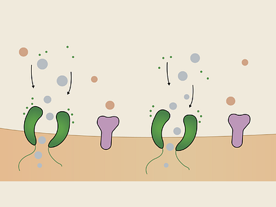 neurotransmitters 2d 2d animation design flat illustration vector web