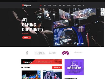 eSports Website Builder For WordPress Woo Commerce