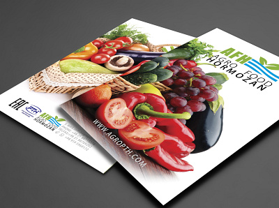 AGRO FOOD catalog design branding catalog catalog design graphic design