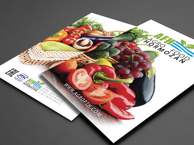 AGRO FOOD catalog design