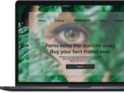 Fernish'd ferns plant ui website design