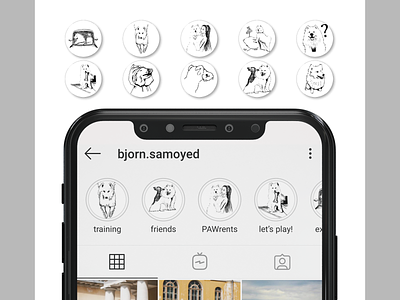 Instagram highlights covers for the samoyed dog dog illustration dogs highlight highlights icon icon artwork icon design icon pack icon set icons insta story instagram instagram stories instagram story samoyed stories story tracing vector