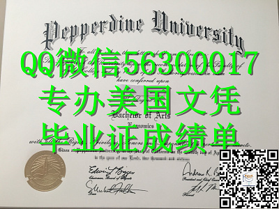 Q微56300017找工作办美国PPD文凭佩珀代因大学留信学历认证毕业证文凭成绩单/申请PPD留信学历认证录取通知书学生卡Pep