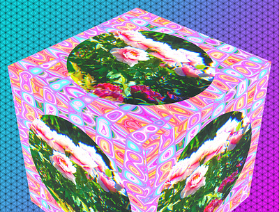 Flower Marble Cube 1 3d collage design flower graphicart graphicdesign photoshop 清水公園 牡丹