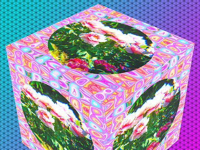 Flower Marble Cube 1 3d collage design flower graphicart graphicdesign photoshop 清水公園 牡丹