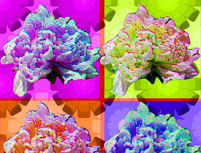 Botan Pop collage flower graphicdesign photoshop psychedelic 清水公園 牡丹