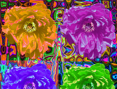 Botan Pop 2 collage flower graphicart photoshop psychedelic 清水公園 牡丹