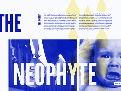 Typography Exercise - Episode 3.2 babies blue diapers donald trump experiment pee pee personal project politics print design typography