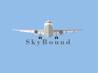 Airline Logo branding design flat logo vector