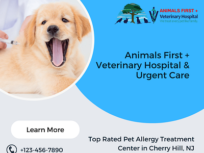 Top Rated Pet Allergy Treatment Center in Cherry Hill, NJ nj