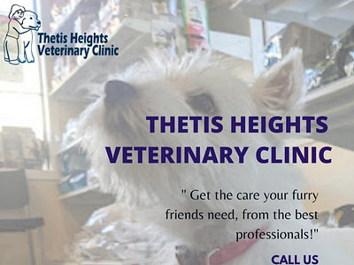 Get Quality Veterinary Care Service at vet clinic Millstream, BC animal hospital millstream bc