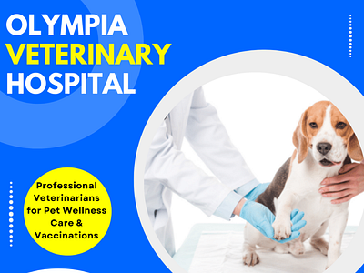 Get Professional Veterinarians for Pet Wellness Care veterinary clinic olympia wa