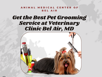 Get Best Pet Grooming Service at Veterinary Clinic Bel Air, MD vet clinic bel air md