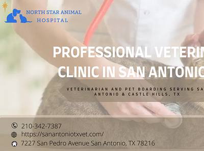 Professional Veterinary Clinic in San Antonio, TX veterinary clinic san antonio tx