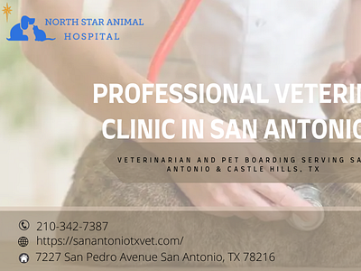 Professional Veterinary Clinic in San Antonio, TX