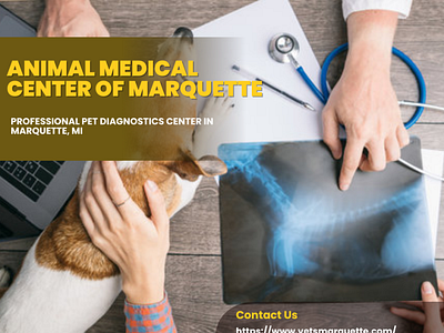 Professional Pet Diagnostics Center in Marquette, MI veterinary clinic marquette mi