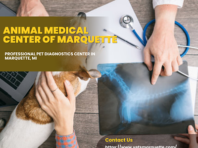 Professional Pet Diagnostics Center in Marquette, MI
