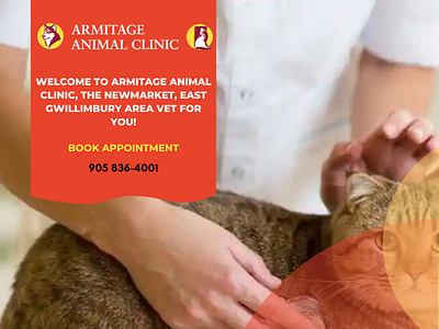 Choose The Best Veterinary Clinic in New Market, ON For Your Pet animal hospital new market on