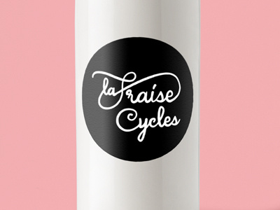 bike branding bicycle bike branding handmade lettering logo type typography