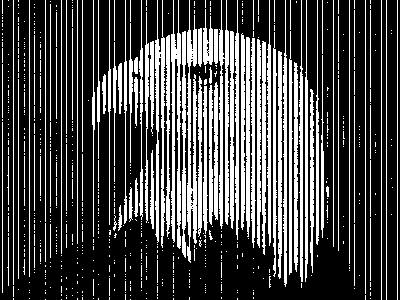 Bald Eagle Portrait america eagle illustration logo