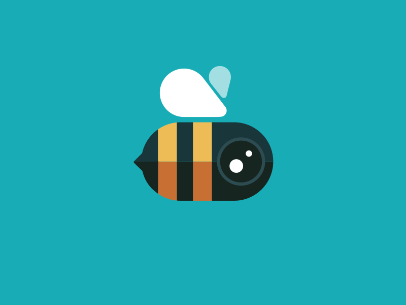 Buzzzzz logo bee camera