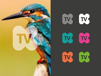 K TV branding identity logo watermark