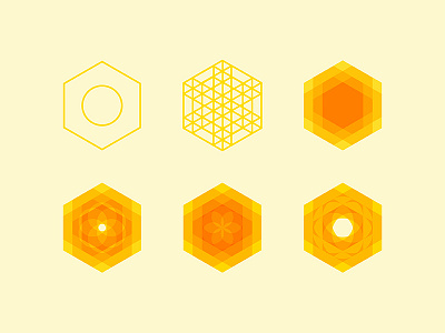 Hexagon branding design exploration flower hexagon icon logo nut yellow