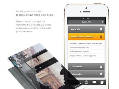Audria, detail of the project presentation interface mobile presentation project ui web