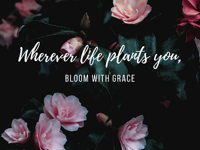 Quote bloom grace happiness happy inspiration inspirationalquotes life lifequotes love mindfulness motivation plant plants bloom quote success