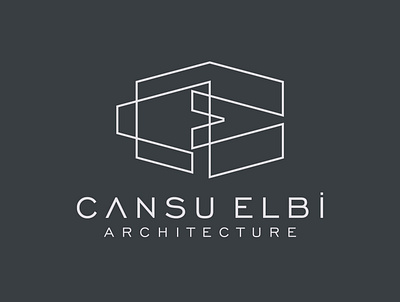 CANSU ELBİ ARCHITECTURE - Logo Design architect architecture brand branding design graphic graphic design illustrator logo vector