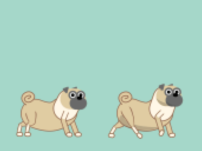 Ted Animations boxer character animation dog game design jump platformer pug walk walkcycle