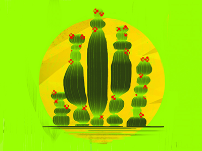 Sloppy Cactus cactus fun illustration lime minimal photoshop texture yellow