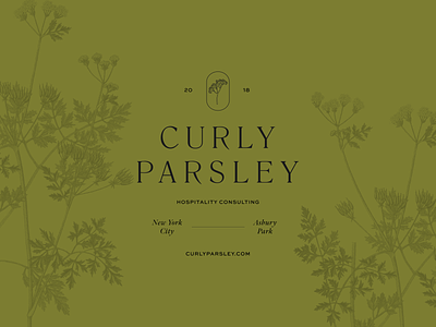 Curly Parsley brand identity branding branding design curly parsley design identity branding identity design logo modern typography vintage illustration