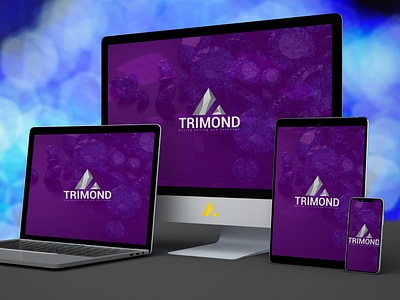 TRIMOND LOGO DESIGN